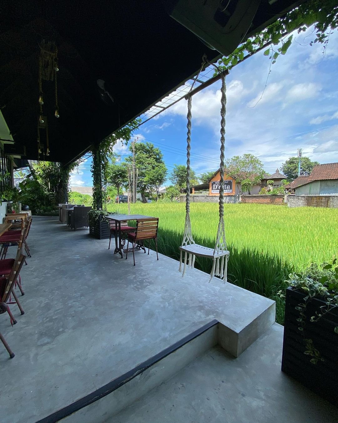Coffee, Green Terraces Cozy Cafe With Paddy Field View In Bali What